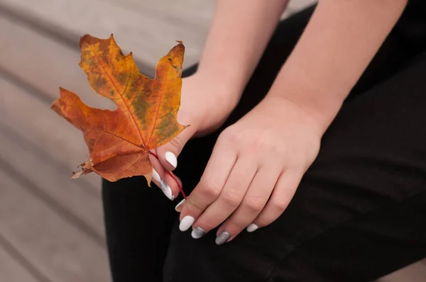 Ένα Πορτοκαλί Αποξηραμένο Φύλλο Σφενδάμου Στα Χέρια Ενός Κοριτσιού Που — Φωτογραφία Αρχείου