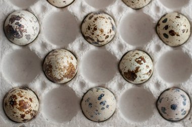 Kağıt yumurta kutusunda birkaç bıldırcın yumurtası.