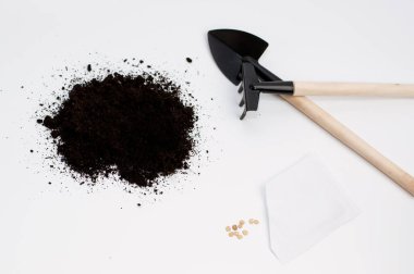 Tohum ekmek için toprak, bir torba dağınık domates tohumu ve beyaz arka planda bir tahta tırmık ve kürek.