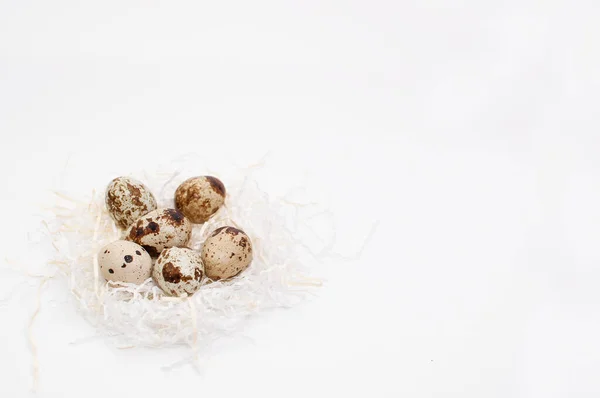 Перепелиные Яйца Бумажном Наполнителе Белом Фоне — стоковое фото