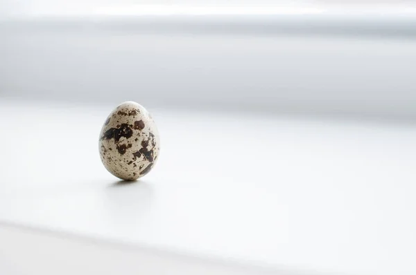 Перепелиное Яйцо Белом Фоне — стоковое фото