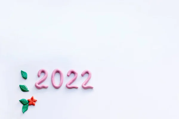 数字2022是用粉红塑料制成的 位于下角 上面有文字 绿叶和白色背景的塑料红花 — 图库照片