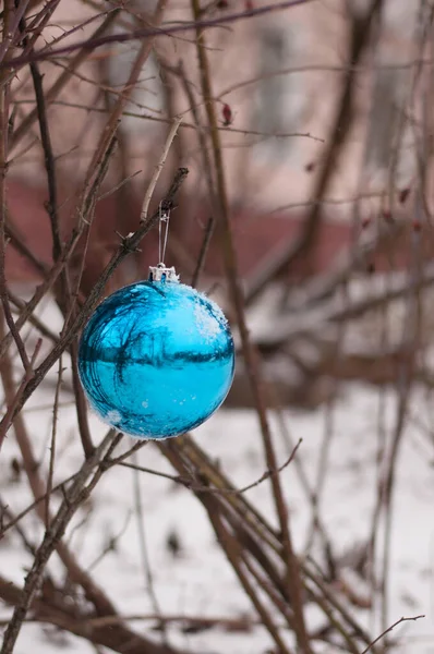 Uma Bola Azul Neve Ramo — Fotografia de Stock