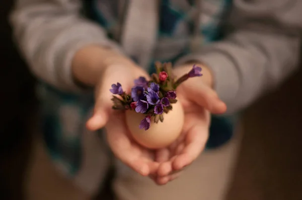 掌中の卵と花で構成され 背景はぼやけている — ストック写真