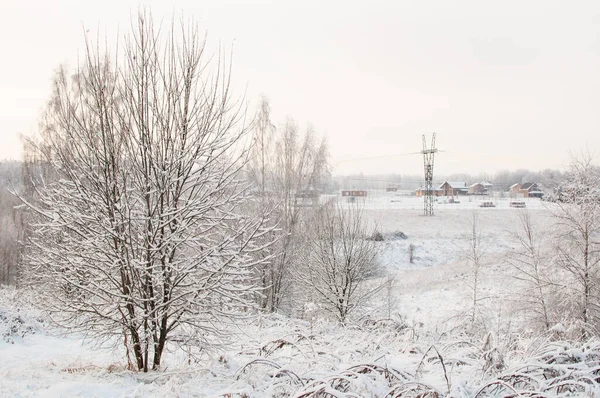 Зимний Пейзаж Деревьями Снегу Размытом Фоне Деревни Силового Столба — стоковое фото