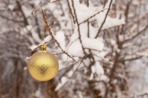 Zlatý Vánoční Stromek Míček Visí Zasněžené Větvi Rozmazaným Pozadím — Stock fotografie