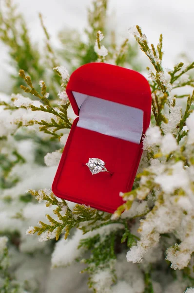 Pierścień Dużym Kamieniem Szlachetnym Czerwonym Pudełku Gałęziach Zbira Śniegu — Zdjęcie stockowe