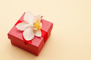 Bej arka planda orkide çiçekli kırmızı hediye kutusu