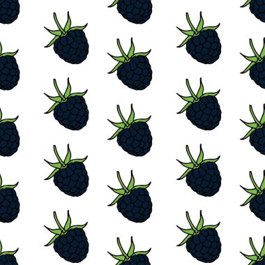 Böğürtlensiz desen. Vektör illüstrasyonu