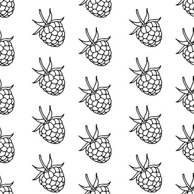 Ahududu seamless modeli. Vektör çizim