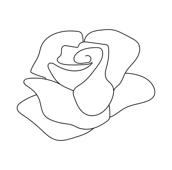 Дизайн Троянди Однієї Лінії — стоковий вектор