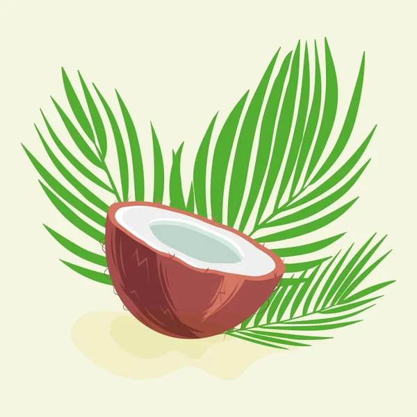 Kokosnusshälften Und Palmblätter — Stockvektor