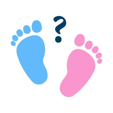 Pink and Blue Gender Reveal Invitation