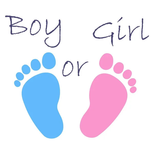 Pink and Blue Gender Reveal Invitation