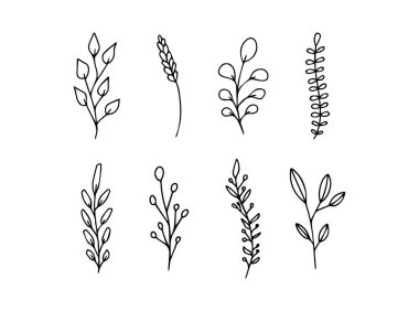 Set of vector black and white plants