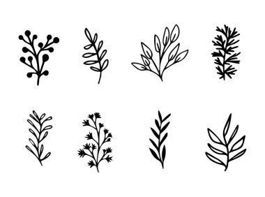 Set of vector black and white plants