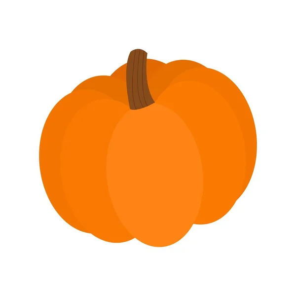 Vector Calabaza Naranja Madura — Archivo Imágenes Vectoriales