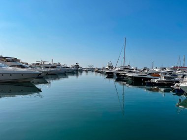Soçi marinası, güneşli bir gün, bir sıra yaht.
