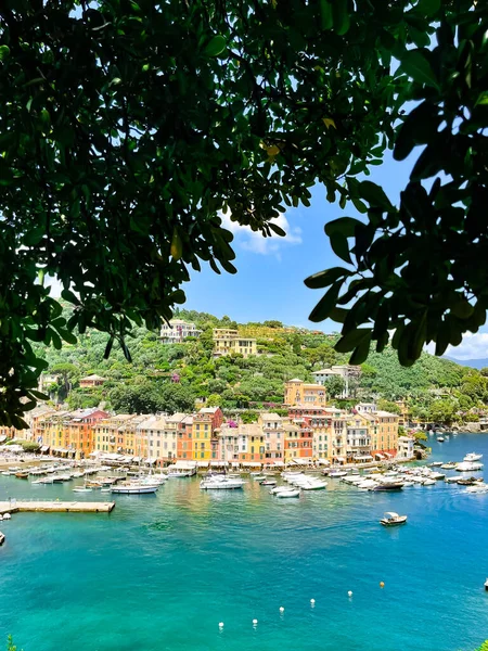 Bella vista sulla baia di Portofino, Italia, con alberi intorno — Foto Stock