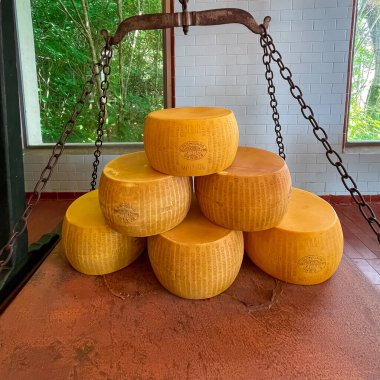Pul üzerinde sarı parmesan peyniri başları, İtalya