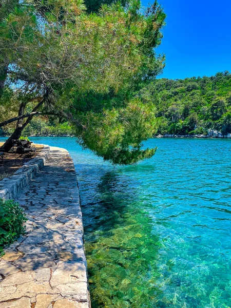 Beaufifull Adası Mljet, Hırvatistan Ulusal Parkı, dikey fotoğraf