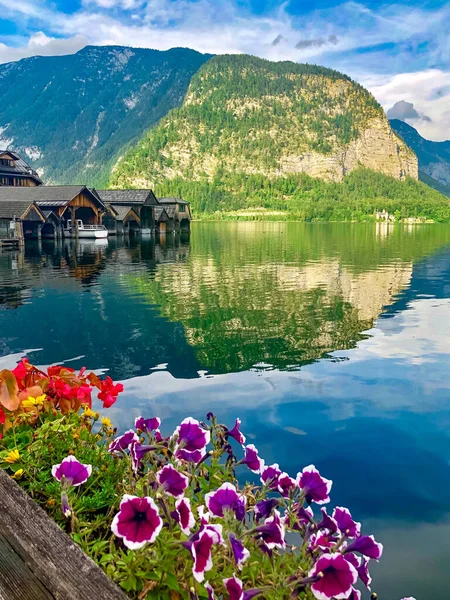 Avusturya 'daki Hallstatt kasabasının panoramik manzarası, göl kenarındaki eski kasaba