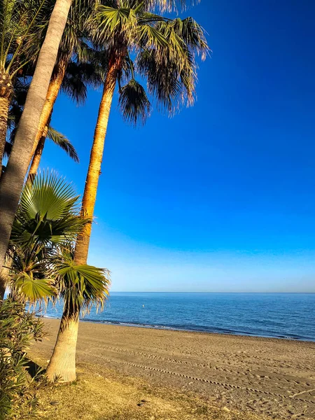 Güneşli bir günde deniz kenarında gezinti. Marbella tatil köyü. Malaga, İspanya