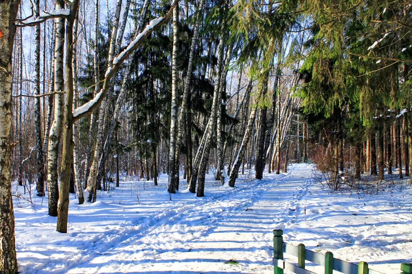 화창 한 날 러시아의 겨울 숲 속의 길 — 스톡 사진