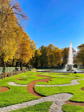 Peterhof 'da sonbahar manzarası, güneşli bir gün, renkli yapraklar.