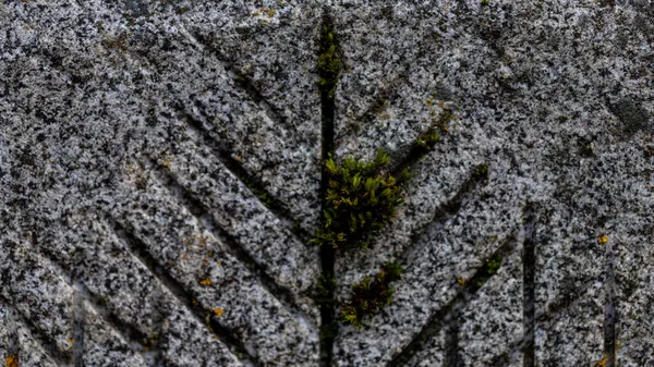 Superfície Uma Pedra Bloco Concreto Com Ranhuras Deixadas Após Processamento — Fotografia de Stock