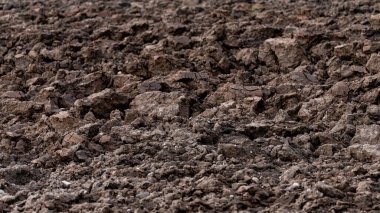 sabanla sürülmüş tarım arazisinin dokusu