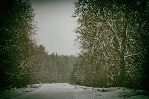 Landskap Med Träd Nära Hal Vinterväg — Stockfoto