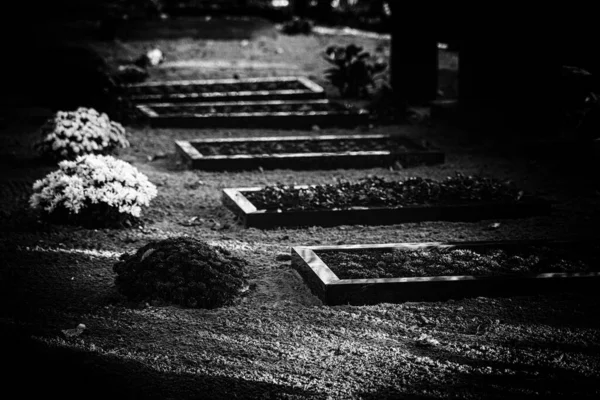 Luogo Tomba Con Bordi Granito Fiori Solito Nel Cimitero Lettonia — Foto Stock