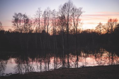 İklim değişikliğinden kaynaklanan sel ormanı ve ölü ağaç sorunları. Çevresel konular arka plan. Dünyayı çevresel krizden kurtarma kavramı. Gün batımında gökyüzü olan sel baskını bölgesinde ölü ağaçlar. Bozulmuş orman