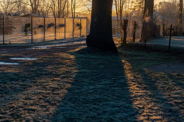 Metalldrahtzaun Für Dorfhaus Der Landschaft Lettlands Schatten Eines Großen Baumes — Stockfoto