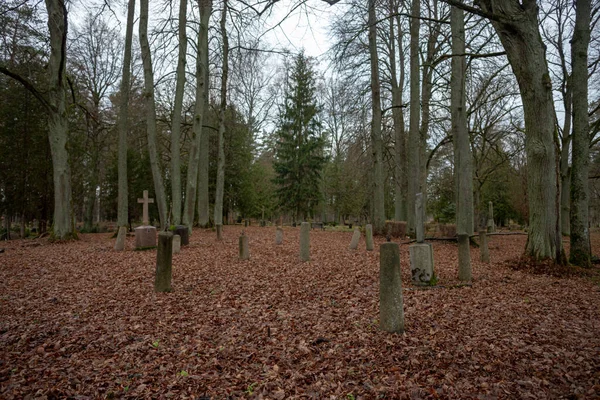 Stary Opuszczony Cmentarz Łotwie Garoza Cmentarz Seglu Rzeźbione Granitowe Kolumny — Zdjęcie stockowe