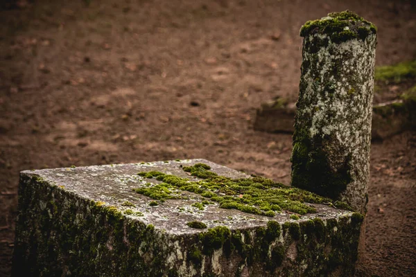 Old Abandoned Cemetery Autumn Broken Tombstone Moss Covered Letters Hand — Stock Photo, Image