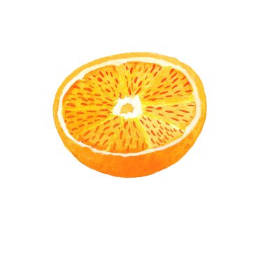 Yarım portakallı suluboya resim. İzole edilmiş beyaz bir arka planda portakal rengi. Botanik resim. Parmak izi, desen, çıkartma vs. için kullanılabilir.