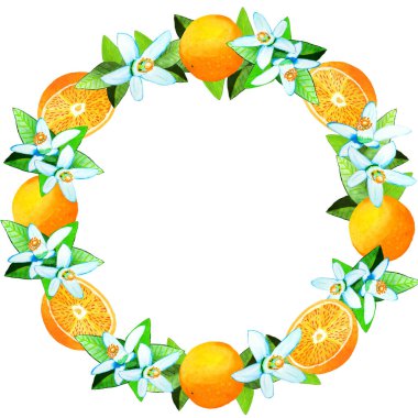 Çelenk. Portakal, çiçek, yapraklar. Suluboya çizimi. İzole edilmiş beyaz bir arka planda çelenk.