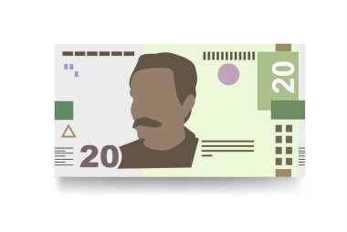 Ukrayna Hryvnia Vektör İllüstrasyonu. Ukrayna parası tomarla para ayarladı. Kağıt para 20 UAH. Düz stil. Beyaz arka planda izole edilmiş. Basit minimal tasarım.