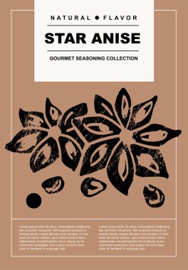 Yıldız anason. Soyut çizim tasarımında baharat, bitki ve organik ürünlerden oluşan posterler. Yemek hazırlama ve aşçılık için etiket ya da poster. Basit, düz tasarım. Poster, kapak, afiş.