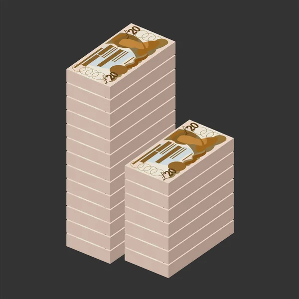 フォークランド諸島ポンドベクトルイラスト 英国のお金セットの銀行券 紙幣20 Fkp フラットスタイル 白い背景に隔離されている シンプルなミニマルデザイン — ストックベクタ