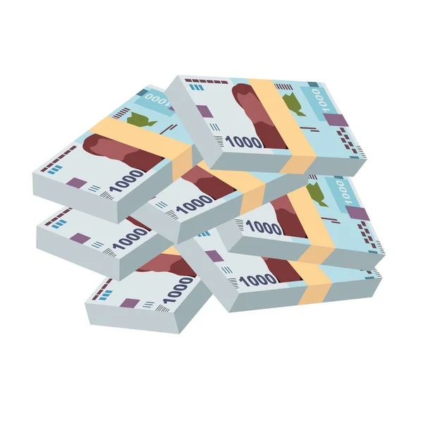 Hryvnia Ucraniana Vector Illustration Ucrania Dinero Establece Paquetes Billetes Papel — Vector de stock