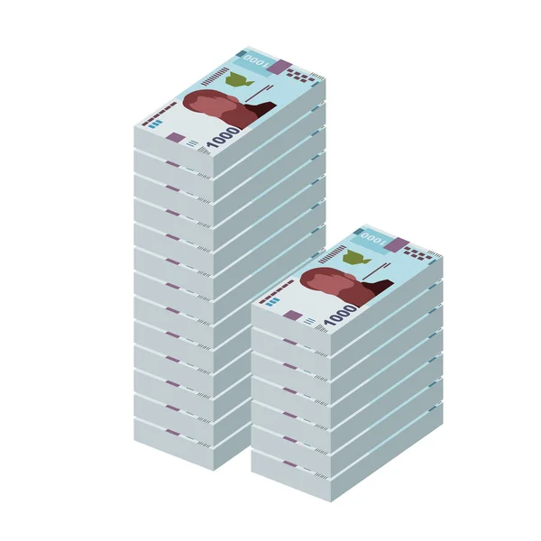 Hryvnia Ucraniana Vector Illustration Ucrania Dinero Establece Paquetes Billetes Papel — Vector de stock