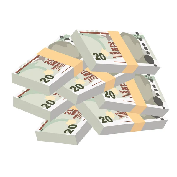 トルコのリラベクトルイラスト トルコのお金は銀行券をセット 紙幣20枚 フラットスタイル 白い背景に隔離されている シンプルなミニマルデザイン — ストックベクタ