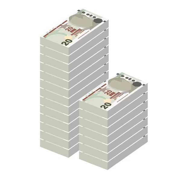 Türk Lira Vektör Llüstrasyonu Hindi Parası Demet Banknotlar Hazırladı Kağıt — Stok Vektör