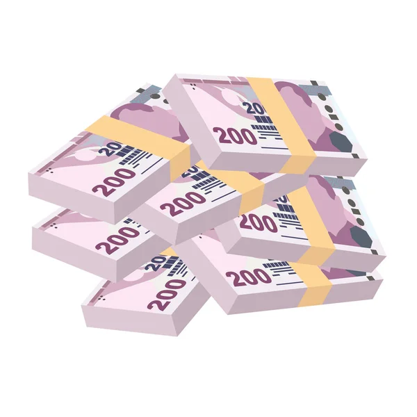 Turkse Lira Vector Illustratie Turkije Geld Set Bundel Bankbiljetten Papiergeld — Stockvector