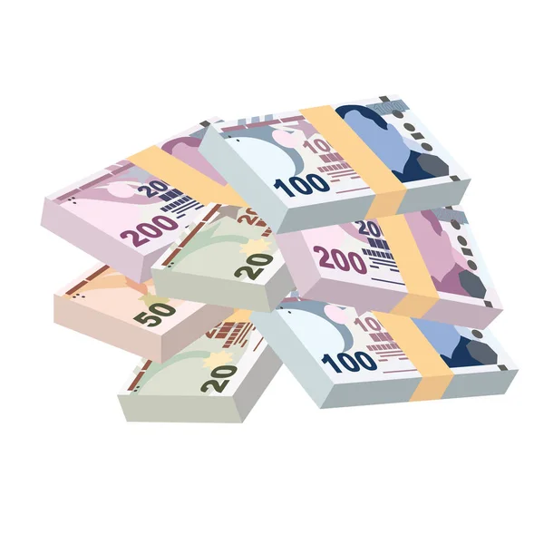 Turkish Lira Vector Illustration Turkey Money Set Bundle Banknotes Paper — Vettoriale Stock