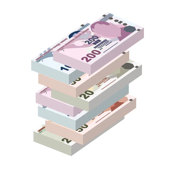 Turkish Lira Vector Illustration Turkey Money Set Bundle Banknotes Paper - Stok Vektor