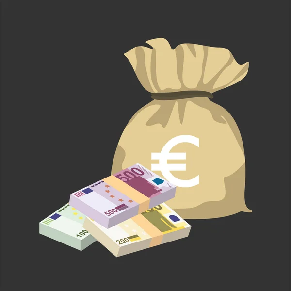 Euro Vector Illustration Dinero Europeo Fija Los Billetes Combinados Bolsa — Archivo Imágenes Vectoriales